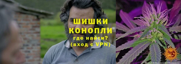 прущие грибы Баксан