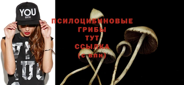 таблы Арсеньев