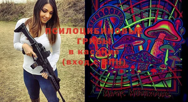спиды Аркадак