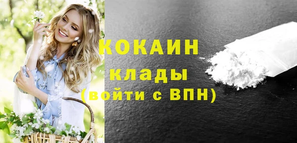 прущие грибы Баксан