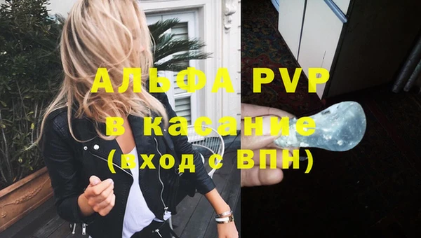 спиды Аркадак
