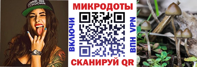 Галлюциногенные грибы GOLDEN TEACHER  хочу наркоту  Пролетарск 