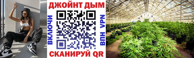 Марихуана сатива  Пролетарск 